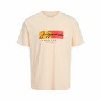 V5H6BA4F966F13CD1527A8B0C8FCDE72DC2R6088734P1