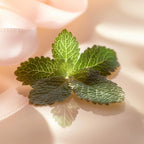 V2H2C993A3384069C310B914C377D9517F4R7706345P3