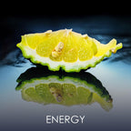 V2H06236B350DF0167F324590D416EA7023R7404076P4