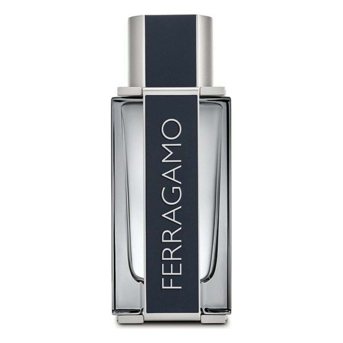 Herrenparfüm Salvatore Ferragamo FE21006 EDT 100 ml - AWK Flagship