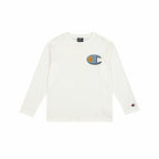 V6HE43DFE5EDED9479943C7C20170A34CDBR5458917P1