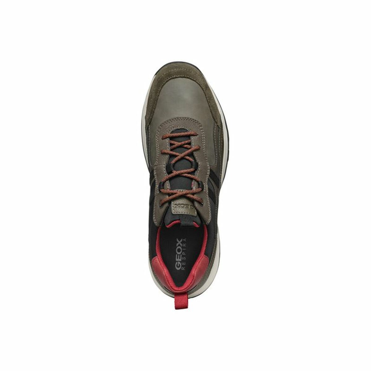 Herren Sneaker Geox Terrestre Braun - AWK Flagship