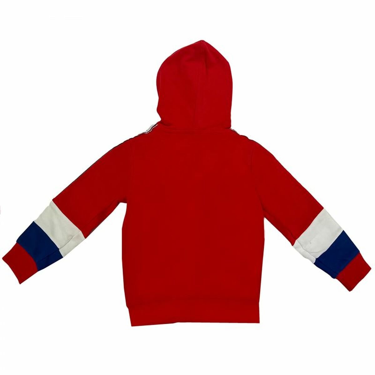 Kinder-Sweatshirt Champion Hooded Rot - AWK Flagship