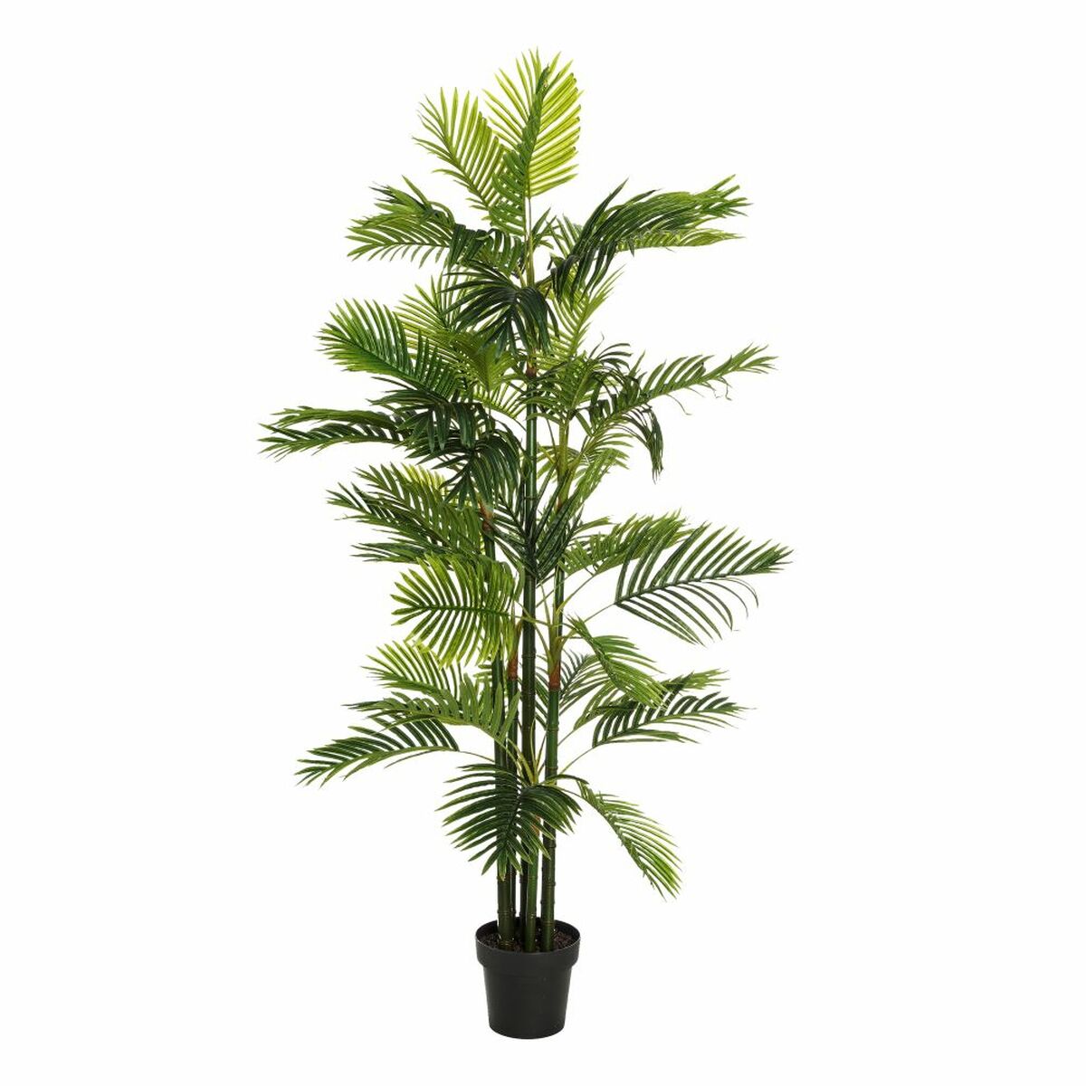 Dekorationspflanze grün PVC 170 cm Palme - AWK Flagship