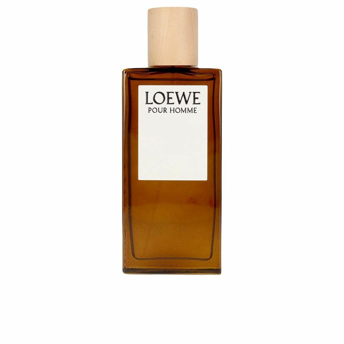 Herrenparfüm Loewe LOEWE POUR HOMME EDT 100 ml - AWK Flagship