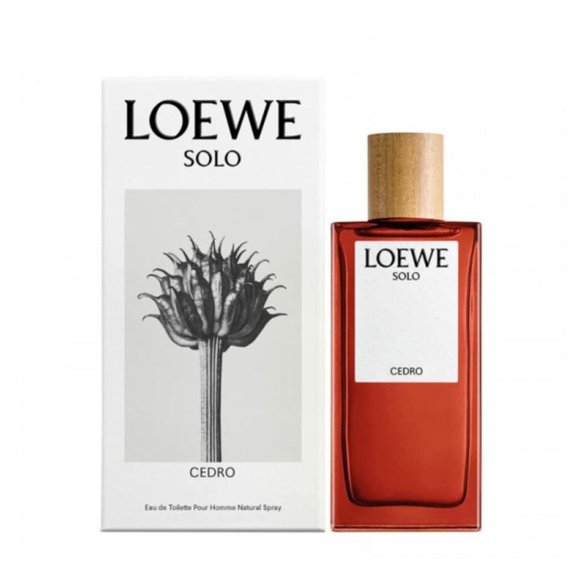 Solo Loewe Cedro Loewe Solo loewe cedro 50 ml - Herren - AWK Flagship