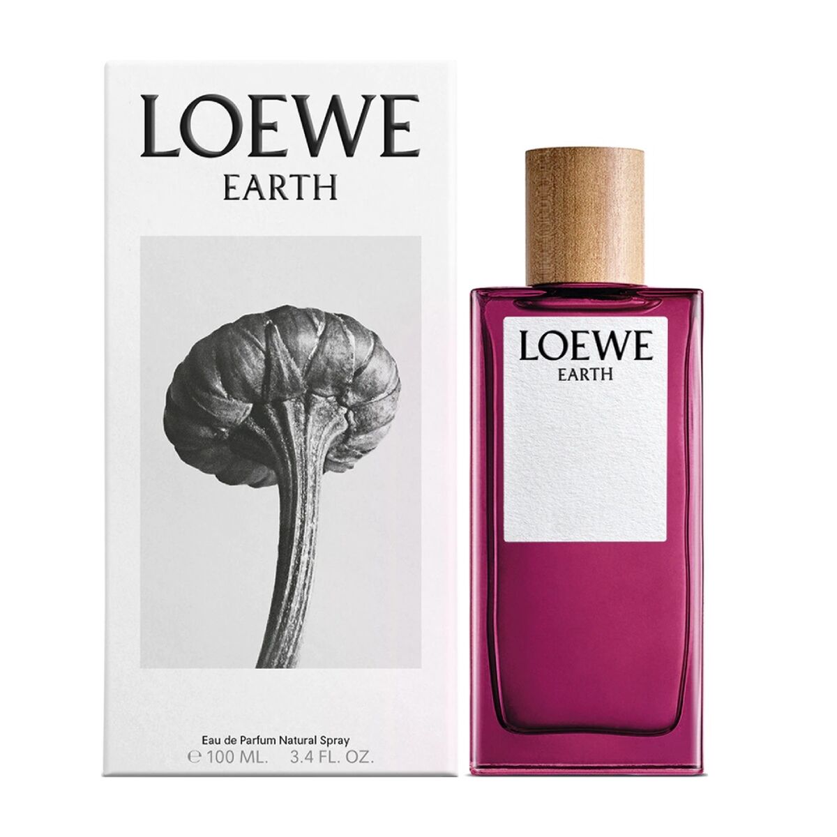 Herrenparfüm Loewe EDP 100 ml - AWK Flagship