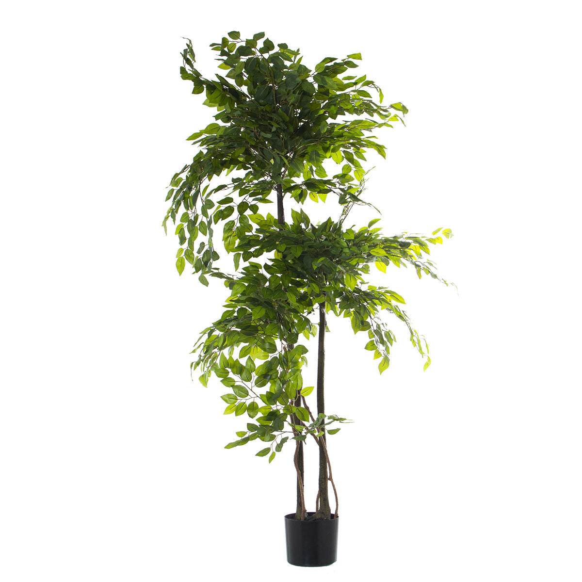 Dekorationspflanze Alexandra House Living Kunststoff Ficus 18 x 22 x 162 cm - AWK Flagship