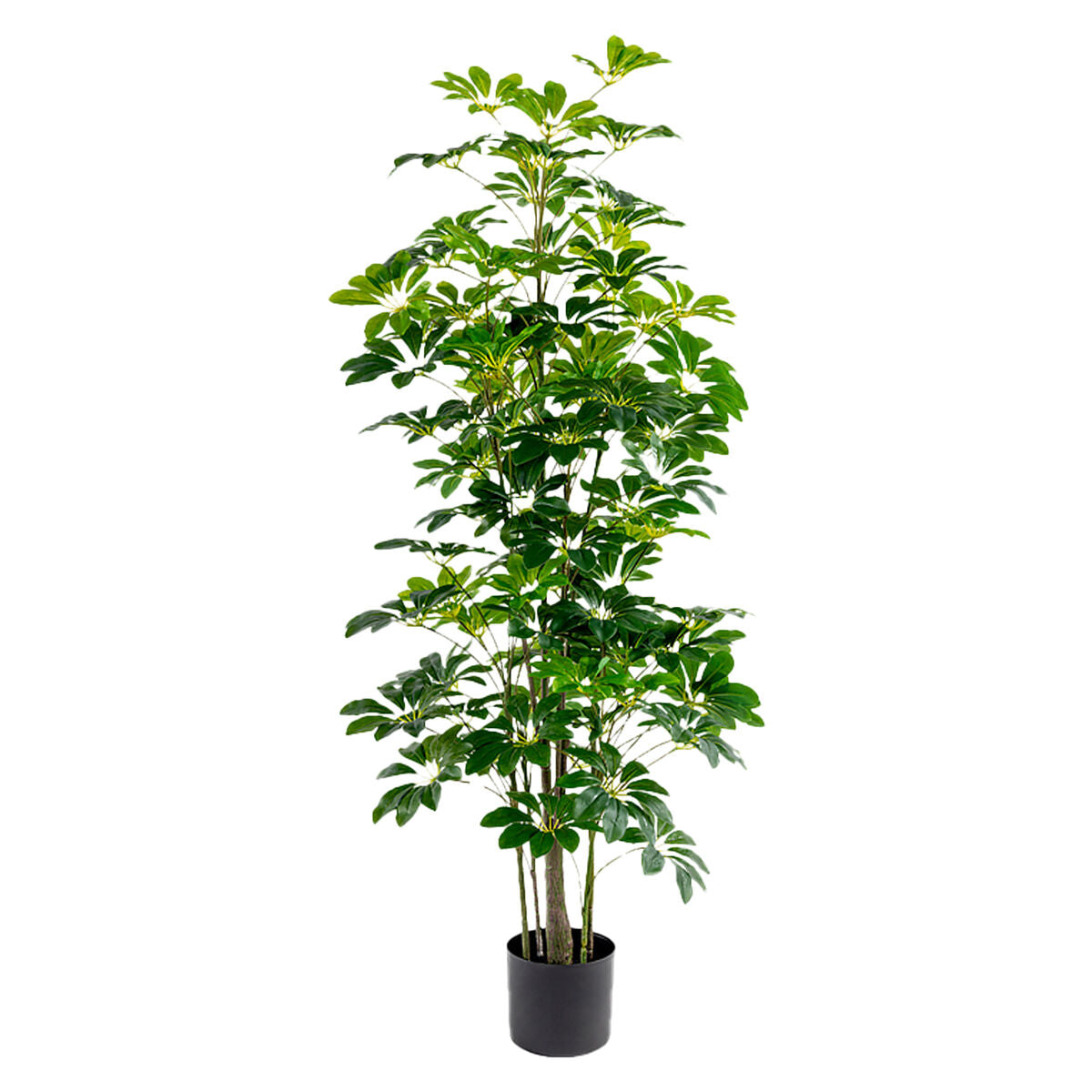 Dekorationspflanze Alexandra House Living Kunststoff Schefflera 155 cm - AWK Flagship