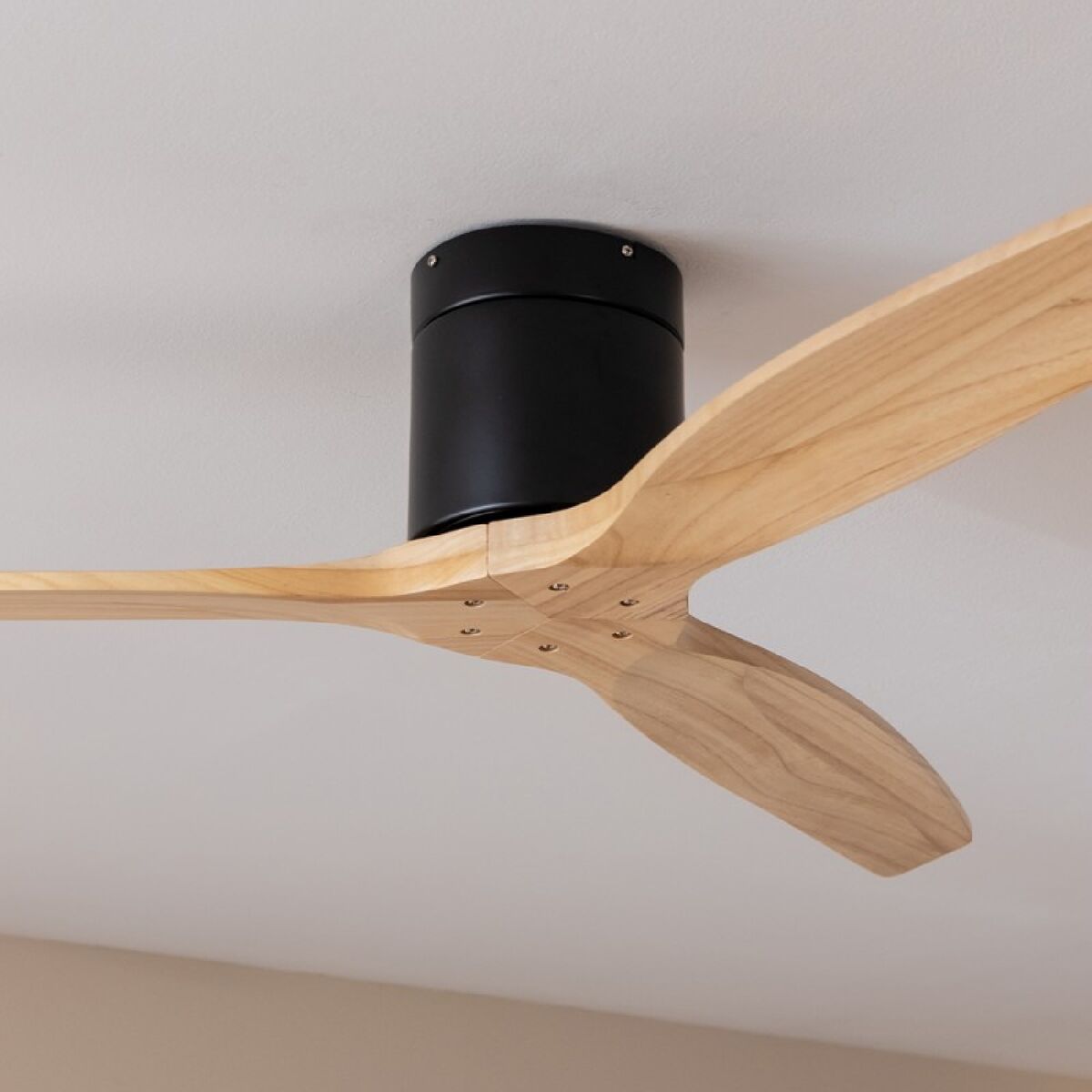 Deckenventilator Cecotec EnergySilence Aero 5500 Aqua Schwarz 40 W Ø132 cm Holz - AWK Flagship