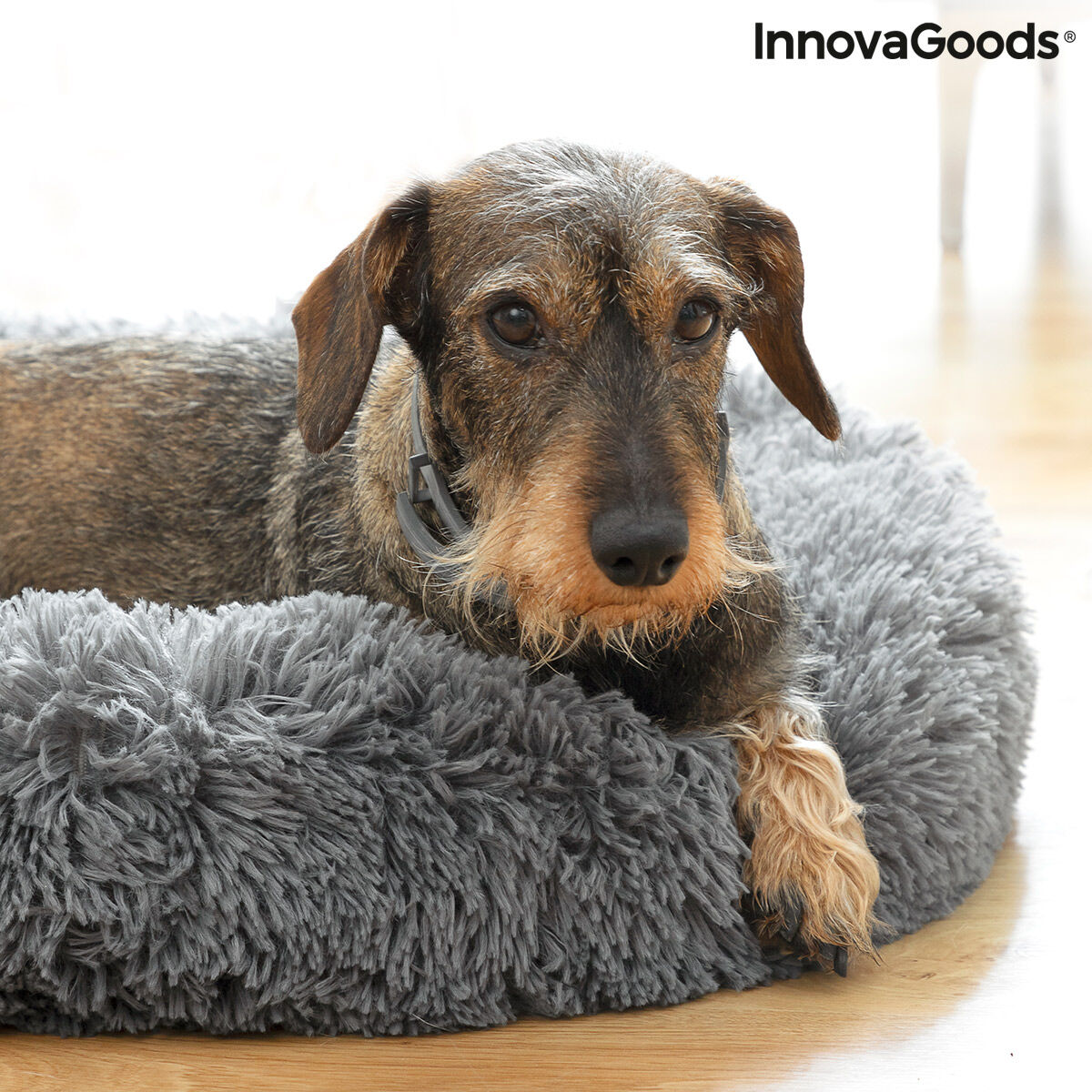 InnovaGoods® Anti-Stress Hundebett Bepess - AWK Flagship