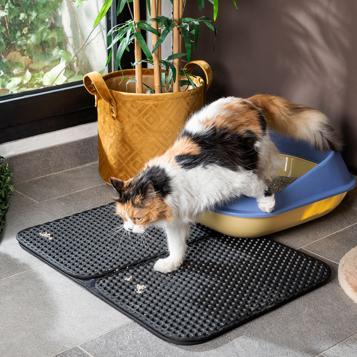 InnovaGoods® Katzenkatzentoilettenmatte Clikatt - AWK Flagship