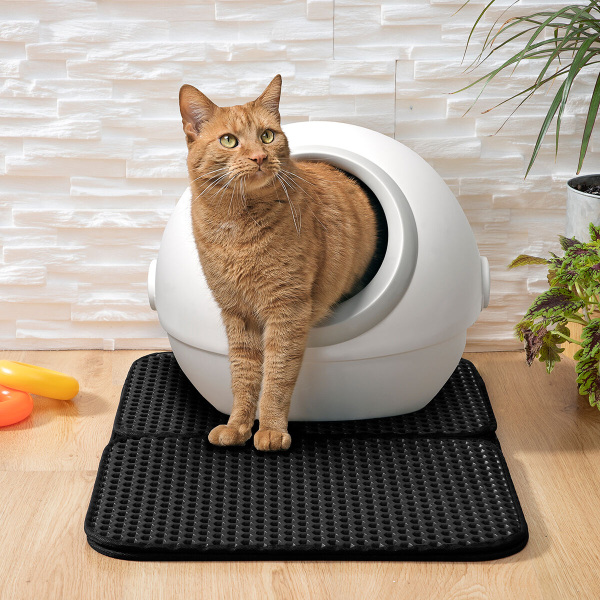 InnovaGoods® Katzenkatzentoilettenmatte Clikatt - AWK Flagship