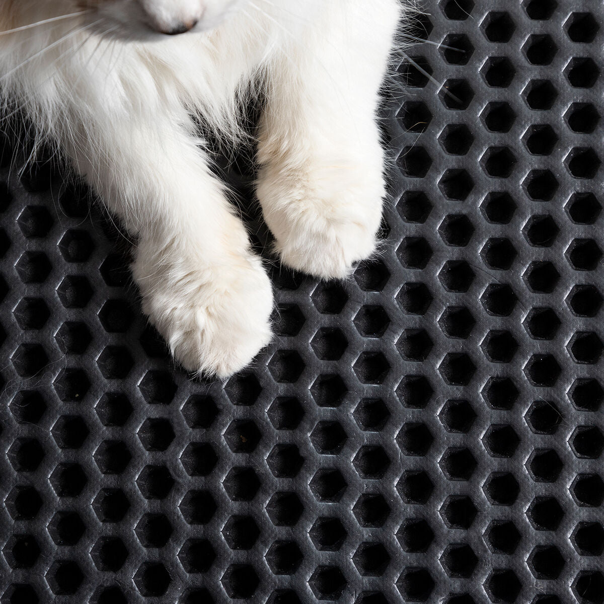 InnovaGoods® Katzenkatzentoilettenmatte Clikatt - AWK Flagship