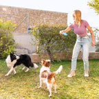 V14HDACA7DD34AD2CBC8F5D16709E23D1975R5279728P4