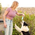 V13H39B2D5D4B5733C3D3D404374754C9ABFR5279740P9