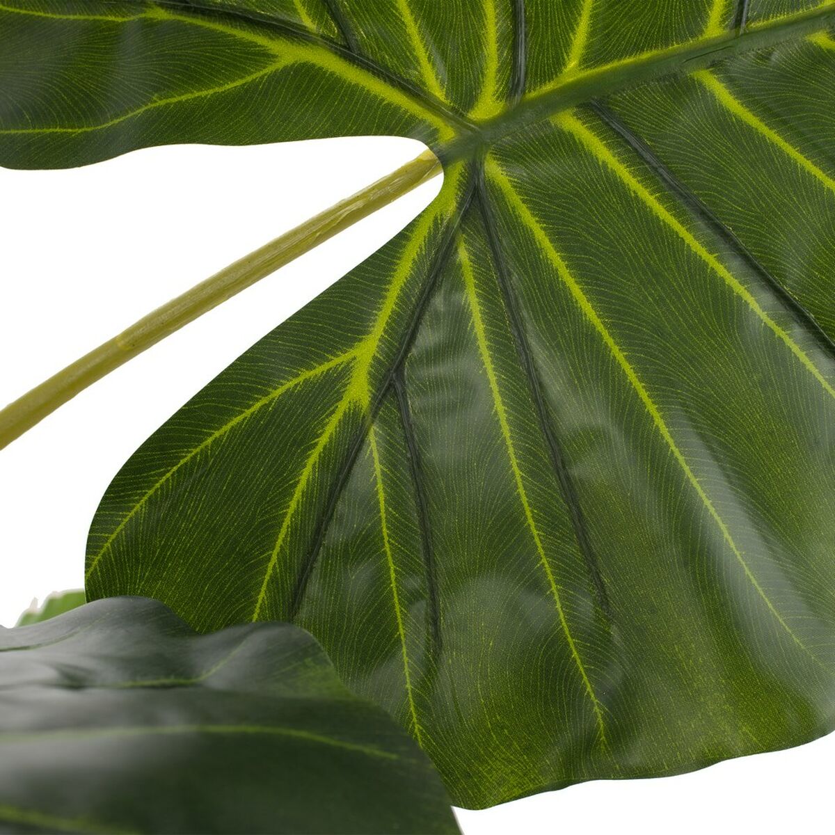 Dekorationspflanze 80 x 90 x 140 cm grün Philodendron - AWK Flagship