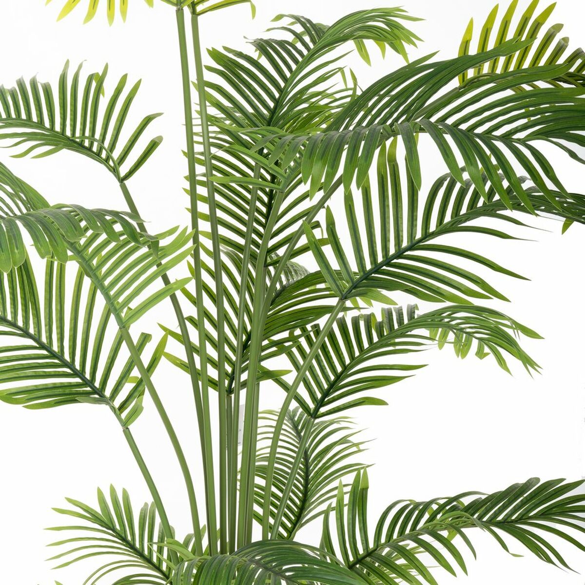 Dekorationspflanze Polyurethan Zement Areca 150 cm - AWK Flagship