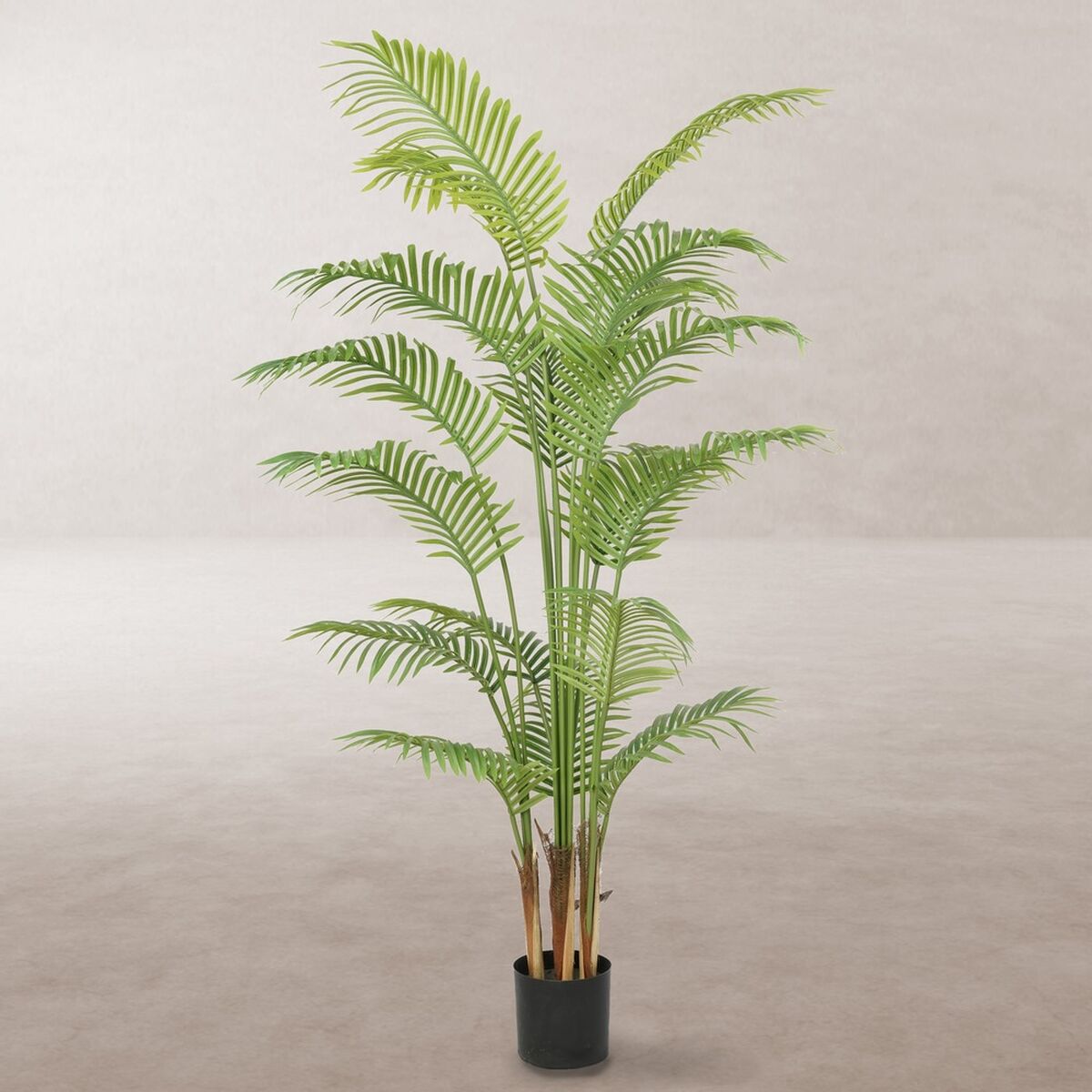 Dekorationspflanze Polyurethan Zement Areca 180 cm - AWK Flagship