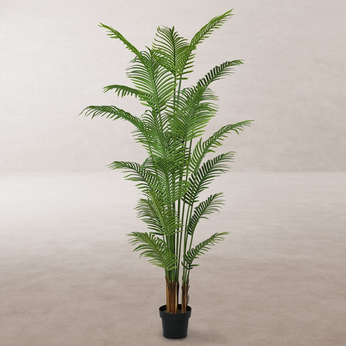 Dekorationspflanze Polyurethan Zement Areca 210 cm - AWK Flagship