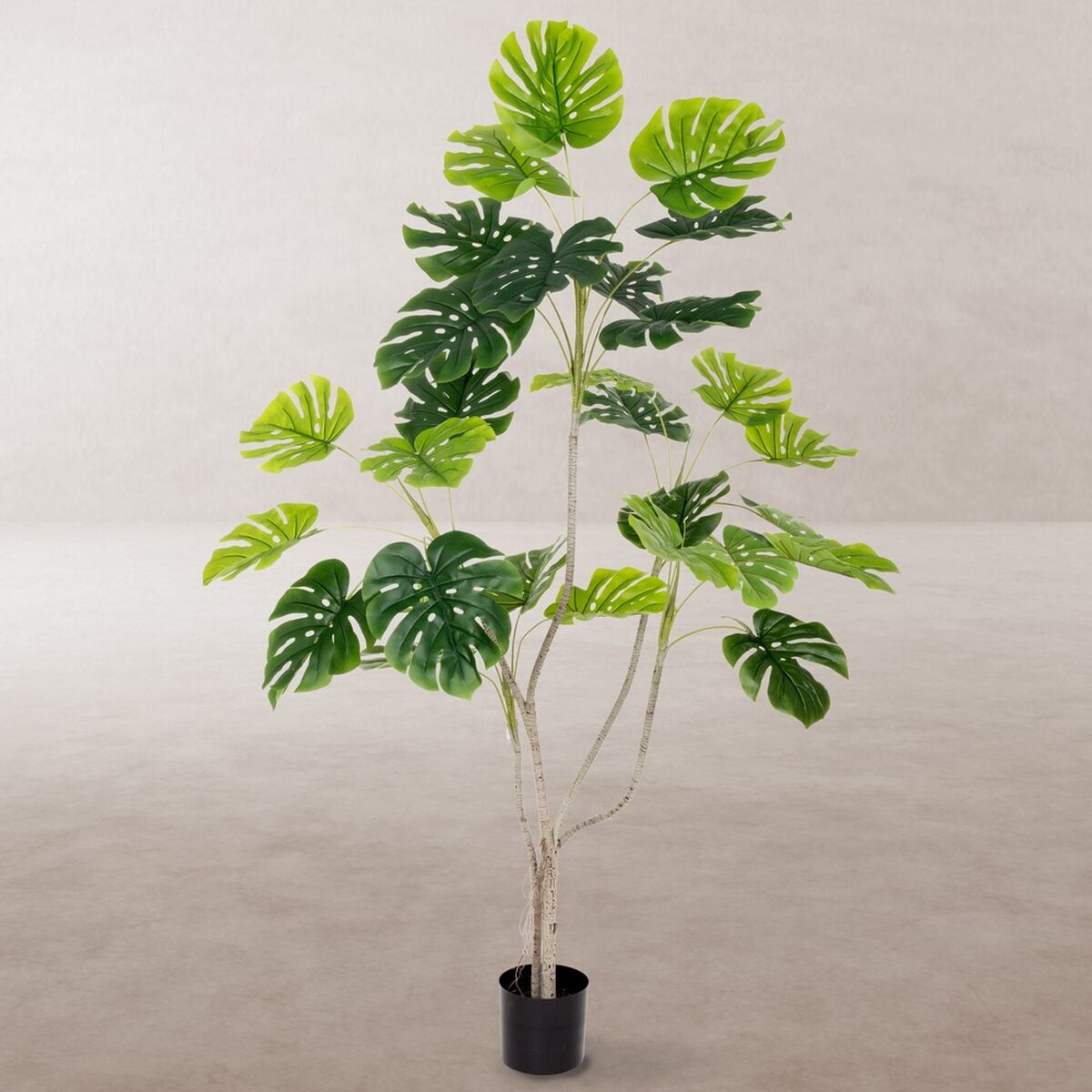 Dekorationspflanze Polyurethan Zement Monstera 180 cm - AWK Flagship