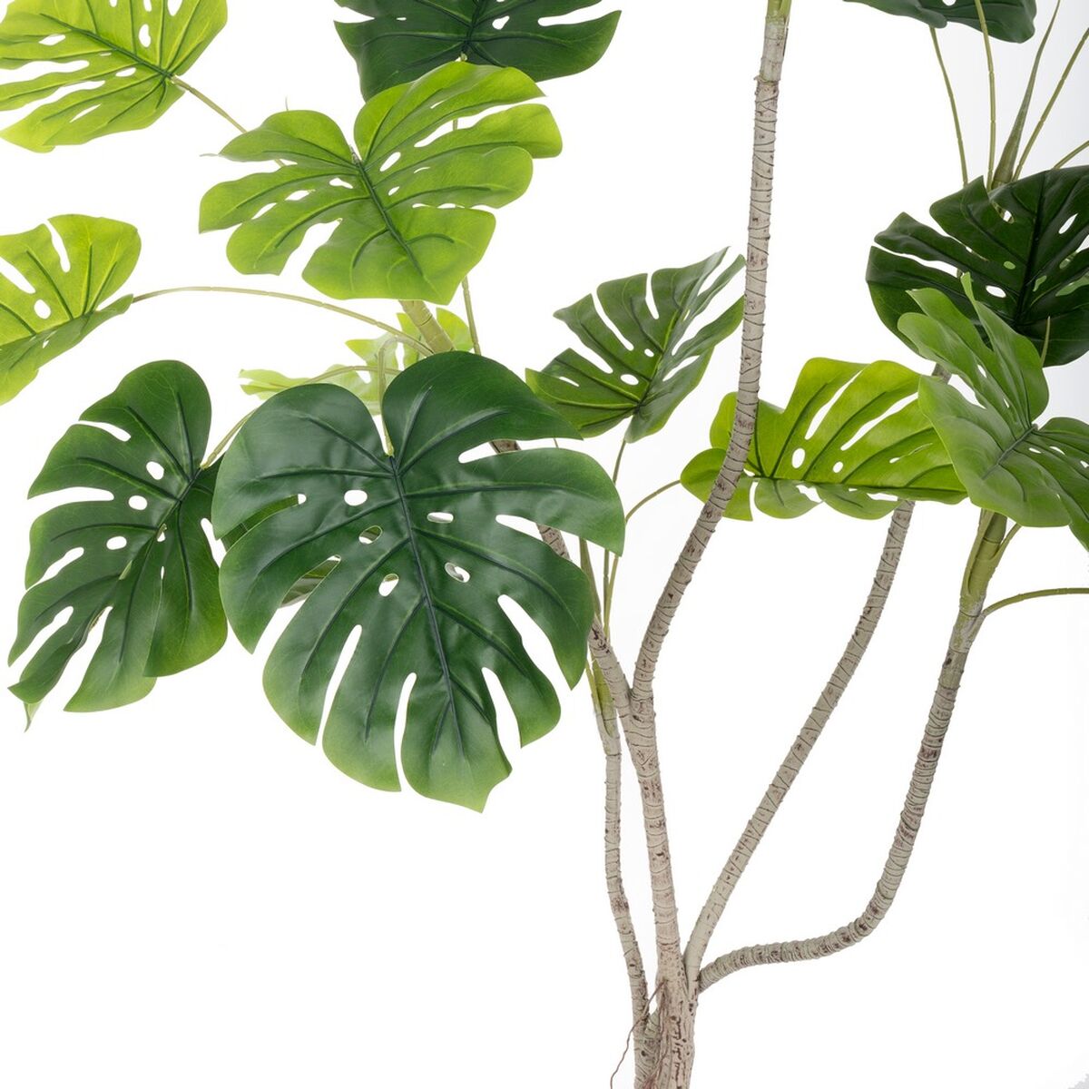 Dekorationspflanze Polyurethan Zement Monstera 180 cm - AWK Flagship