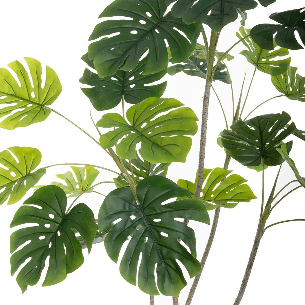 Dekorationspflanze Polyurethan Zement Monstera 180 cm - AWK Flagship