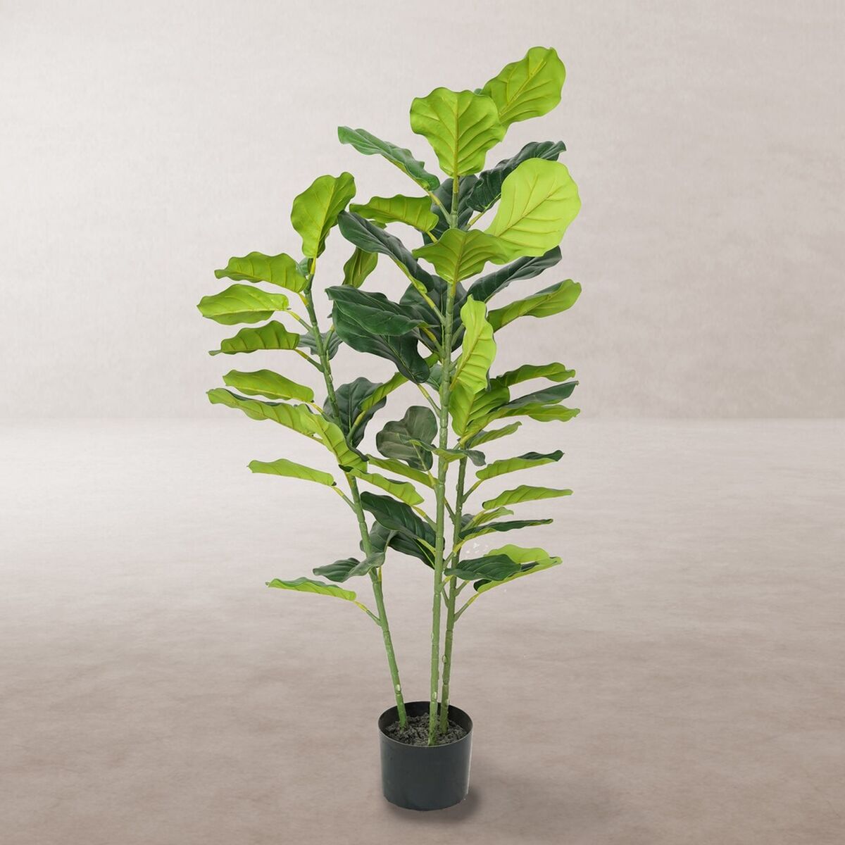 Dekorationspflanze Polyurethan Zement Ficus 120 cm - AWK Flagship