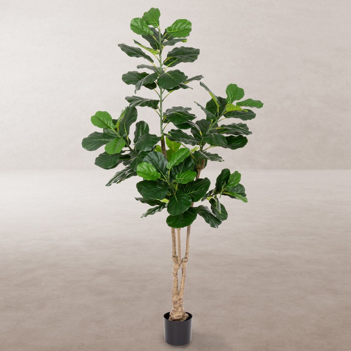 Dekorationspflanze Polyurethan Zement Ficus 175 cm - AWK Flagship