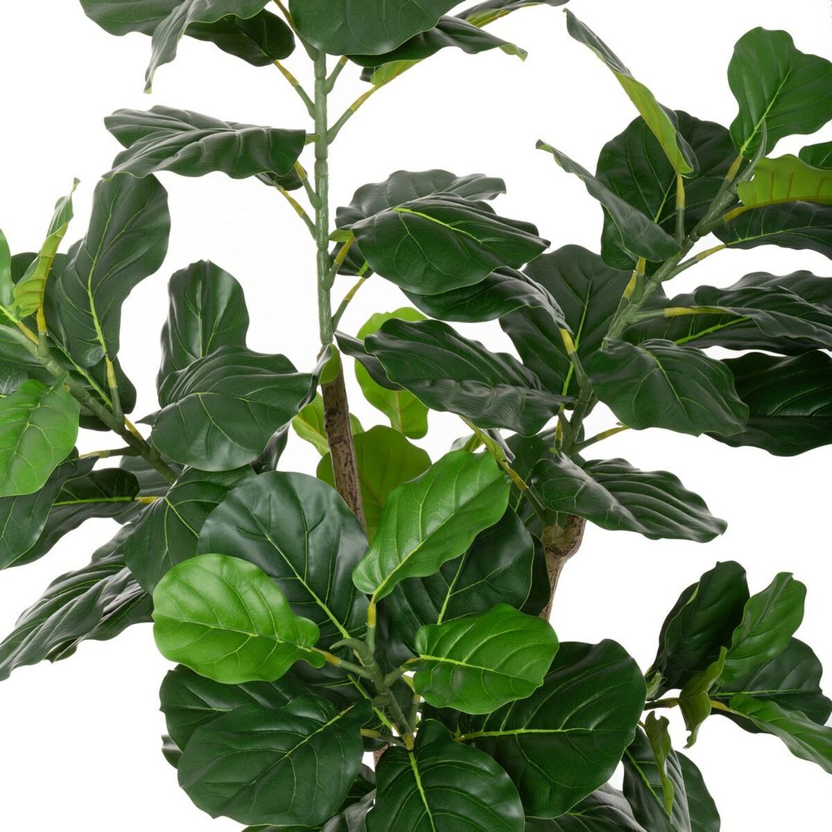 Dekorationspflanze Polyurethan Zement Ficus 175 cm - AWK Flagship