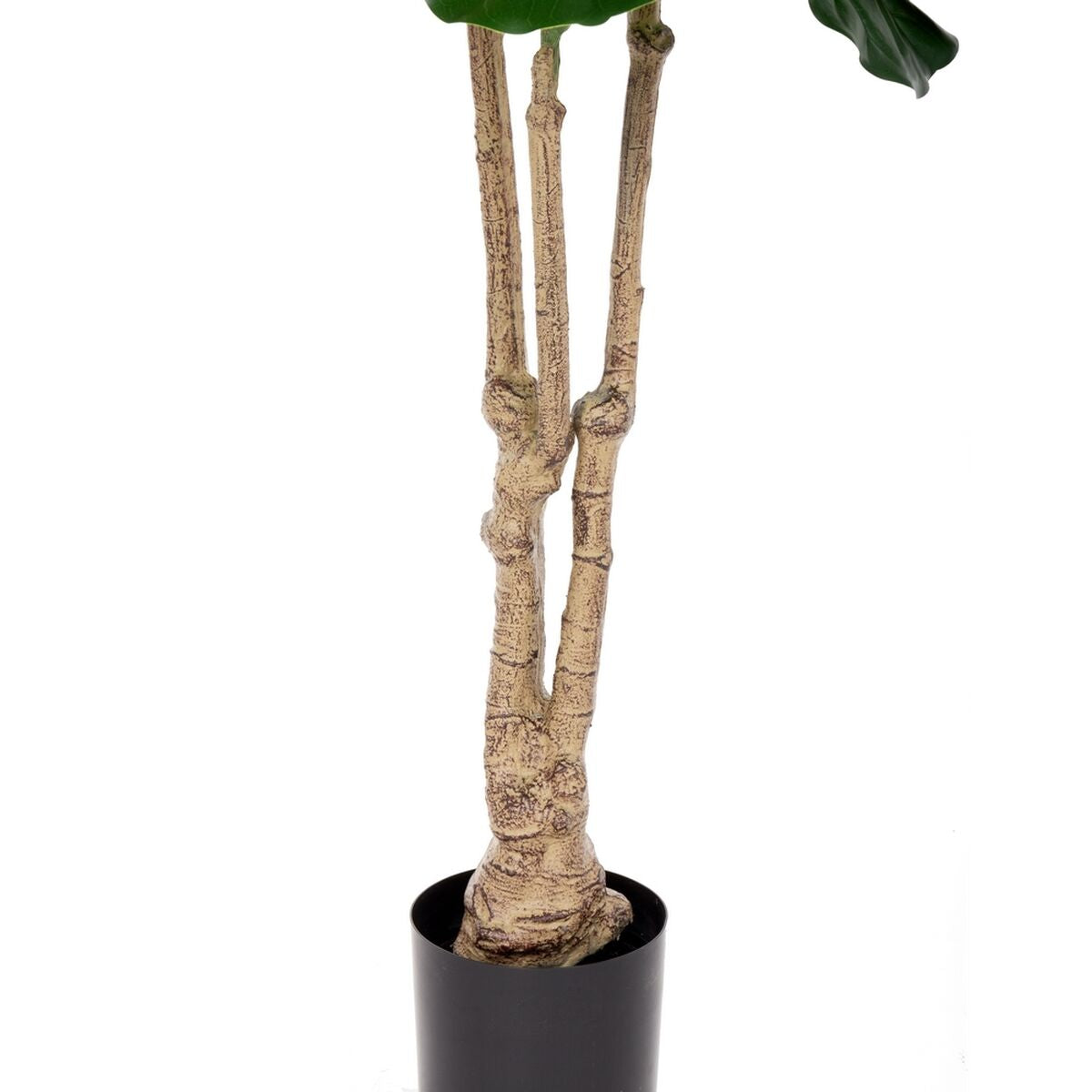 Dekorationspflanze Polyurethan Zement Ficus 175 cm - AWK Flagship