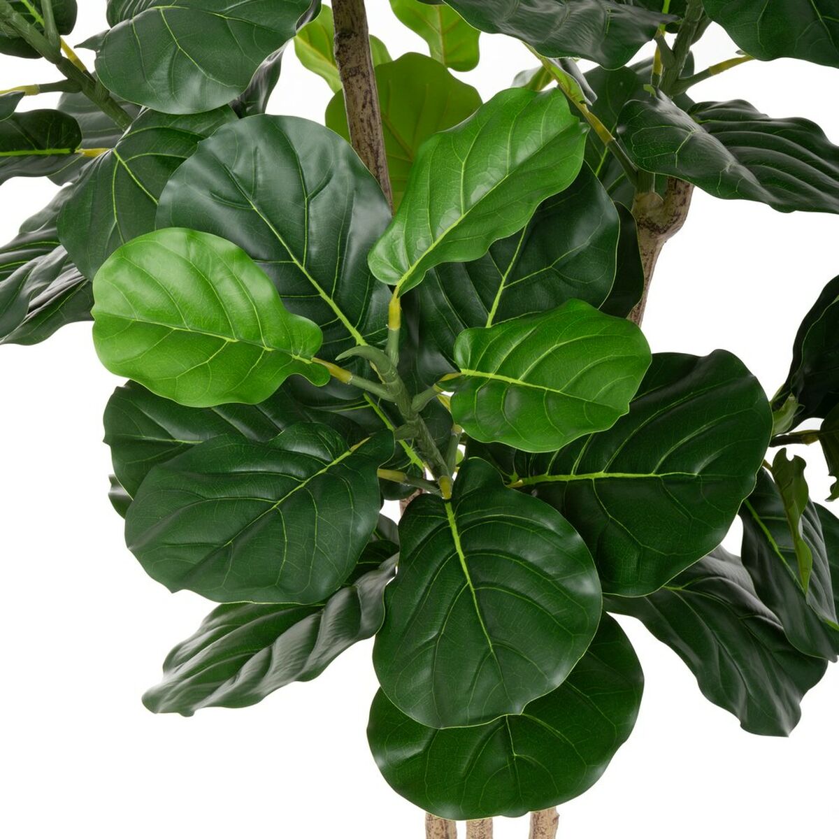 Dekorationspflanze Polyurethan Zement Ficus 175 cm - AWK Flagship