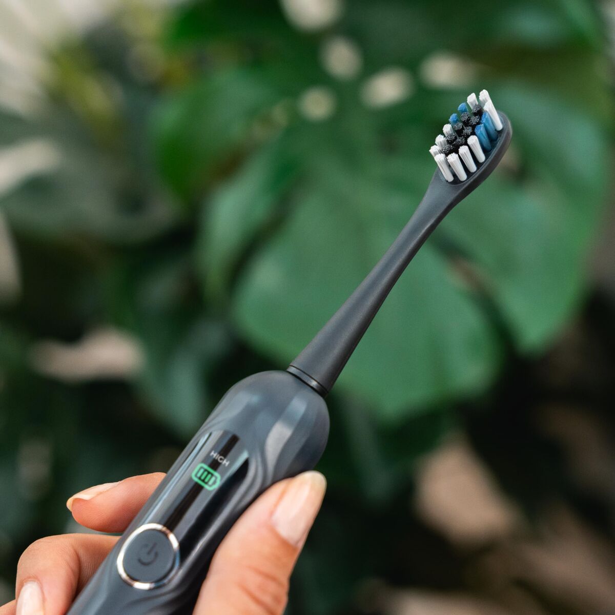 V2HEDFC0F10E0D247E25A539A64E5986C52R7646614P7