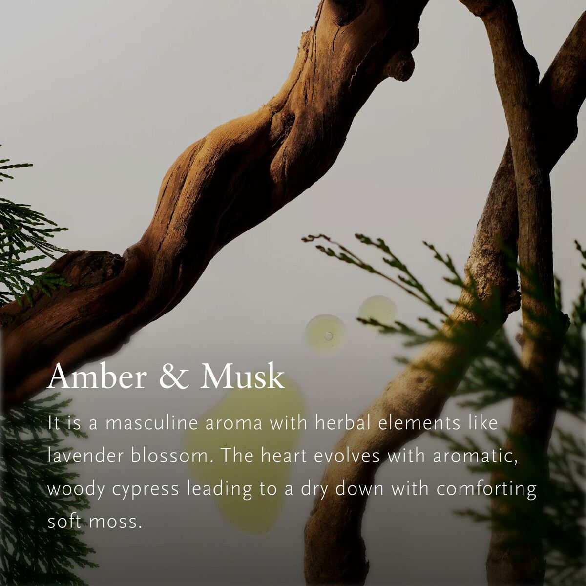 V5HF9AB5A353CBC56C3CFF2C6F0BAE21FBAR5617570P4