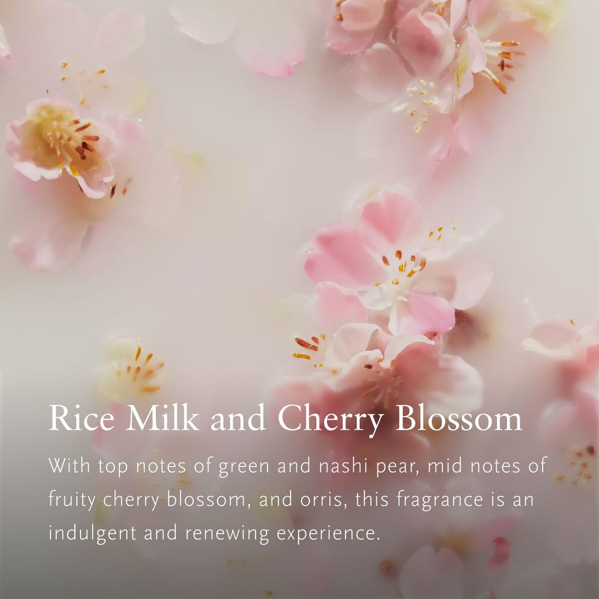 V3H6CA89CAC58E529B5BCAFFB51341EFDE8R7587131P3