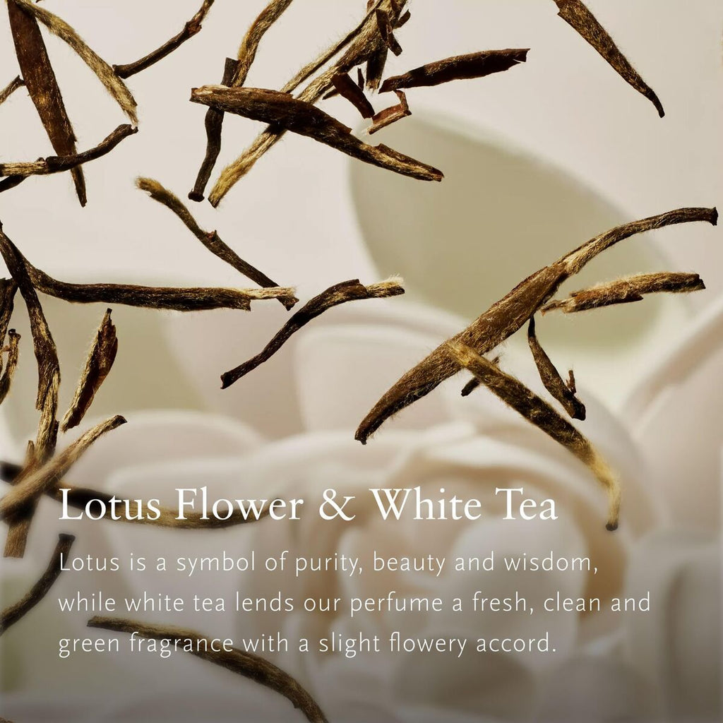 V2H12B5919EE497FDE6FB2BF4E669AE008FR7590631P4