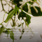 V1HA41D6A424F540DE2BB0CDB32F0BF1483RP4