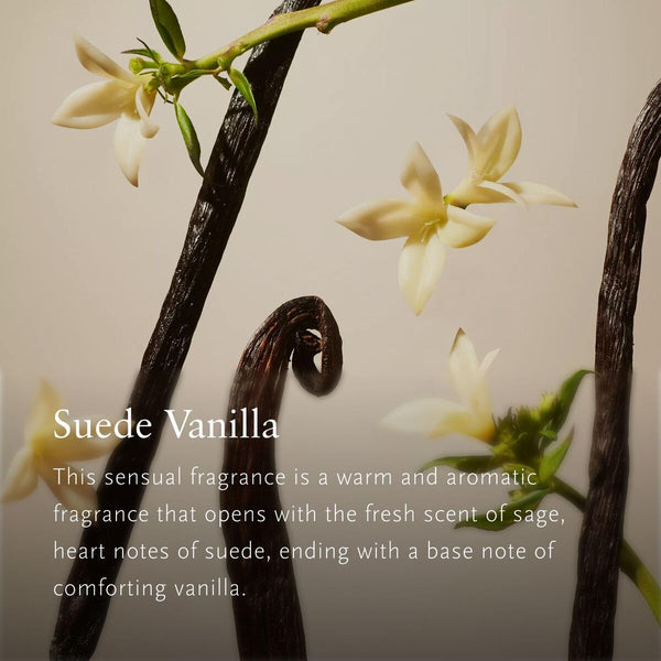 V3HE3FDF9088B5B9B77BE7067627B290807R7591240P3