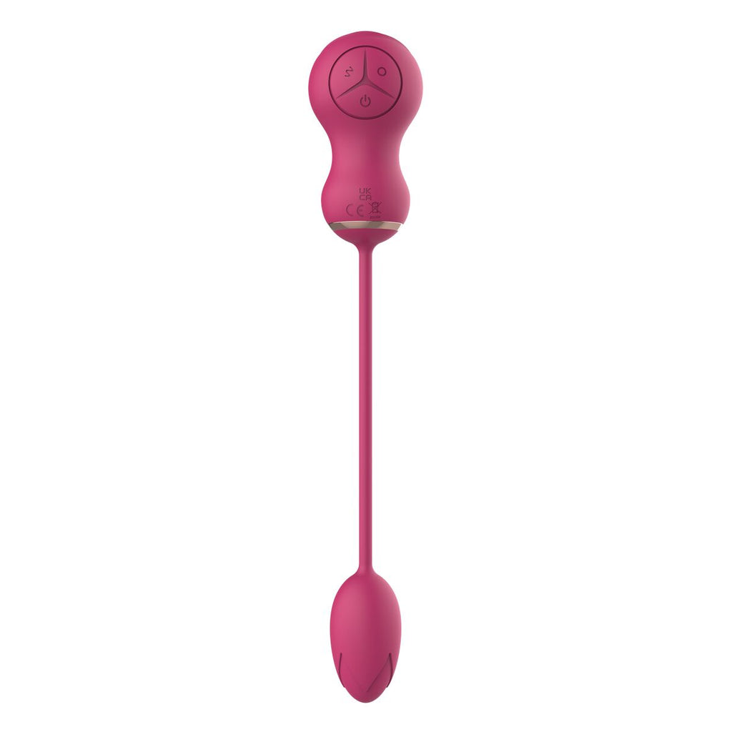 V6HAFE43786855D3F08C437B72B88CAA44ER4916100P6