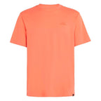 V4H8E3323784BD76602B30F94B760D9291BR7514595P1