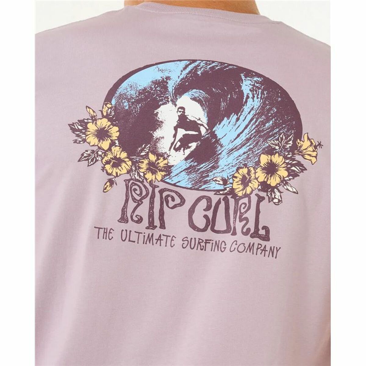 V5H5EB7BA87302C036BD1E3BF0178D08B75R6081739P5