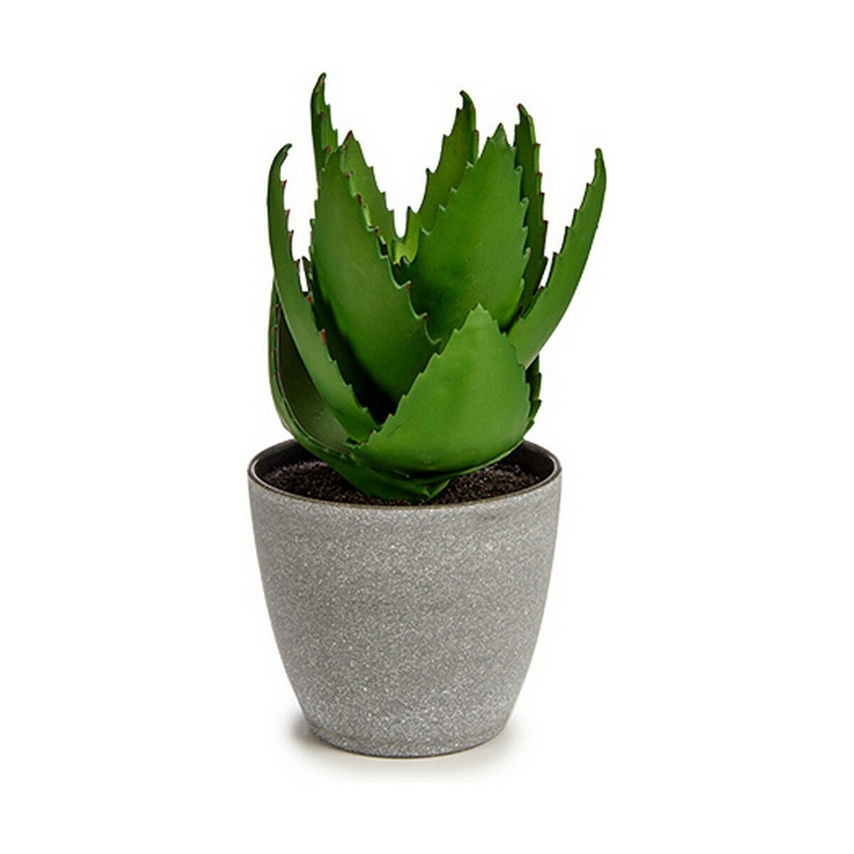 Dekorationspflanze Aloe Vera 15 x 23,5 x 15 cm Grau grün Kunststoff (6 Stück) - AWK Flagship