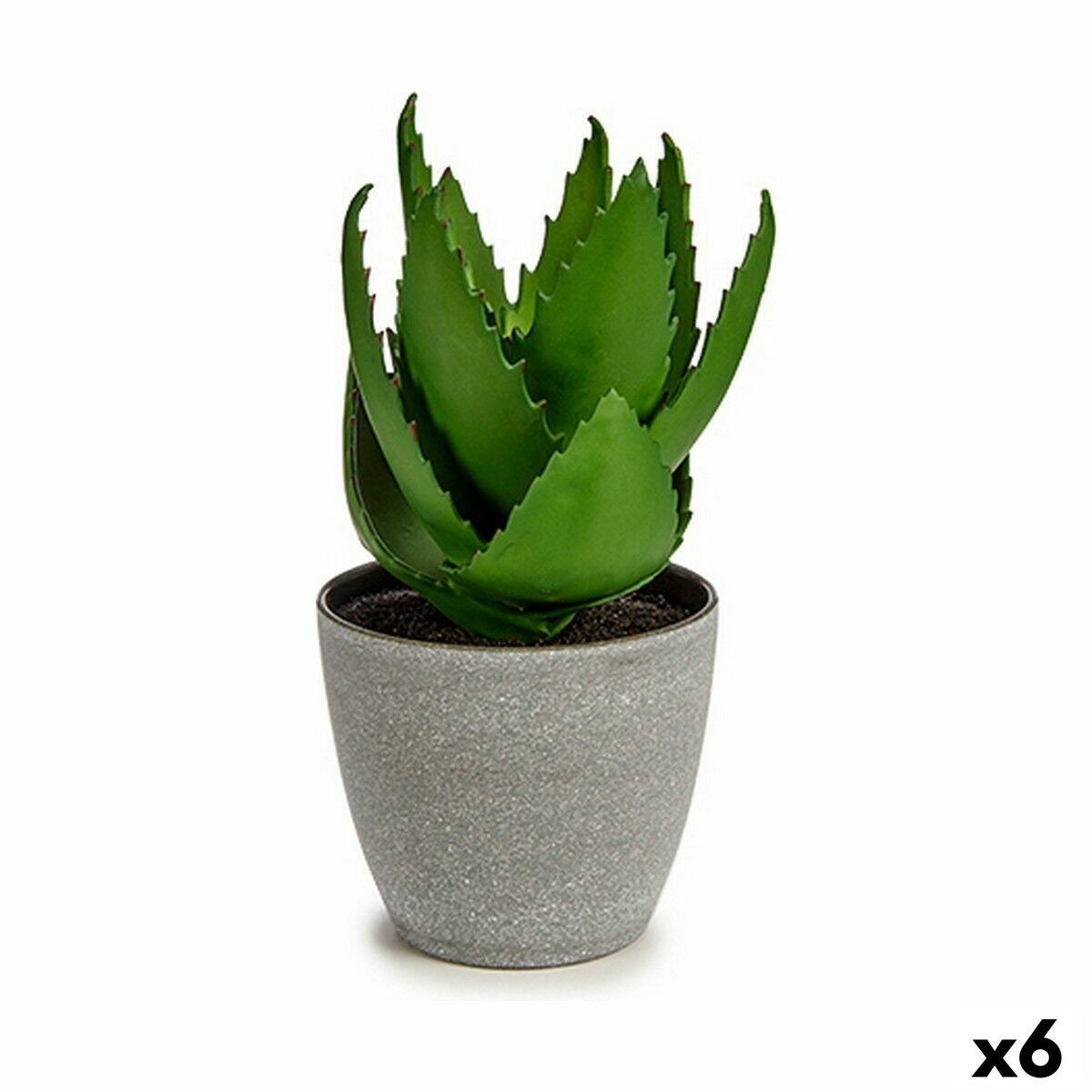 Dekorationspflanze Aloe Vera 15 x 23,5 x 15 cm Grau grün Kunststoff (6 Stück) - AWK Flagship