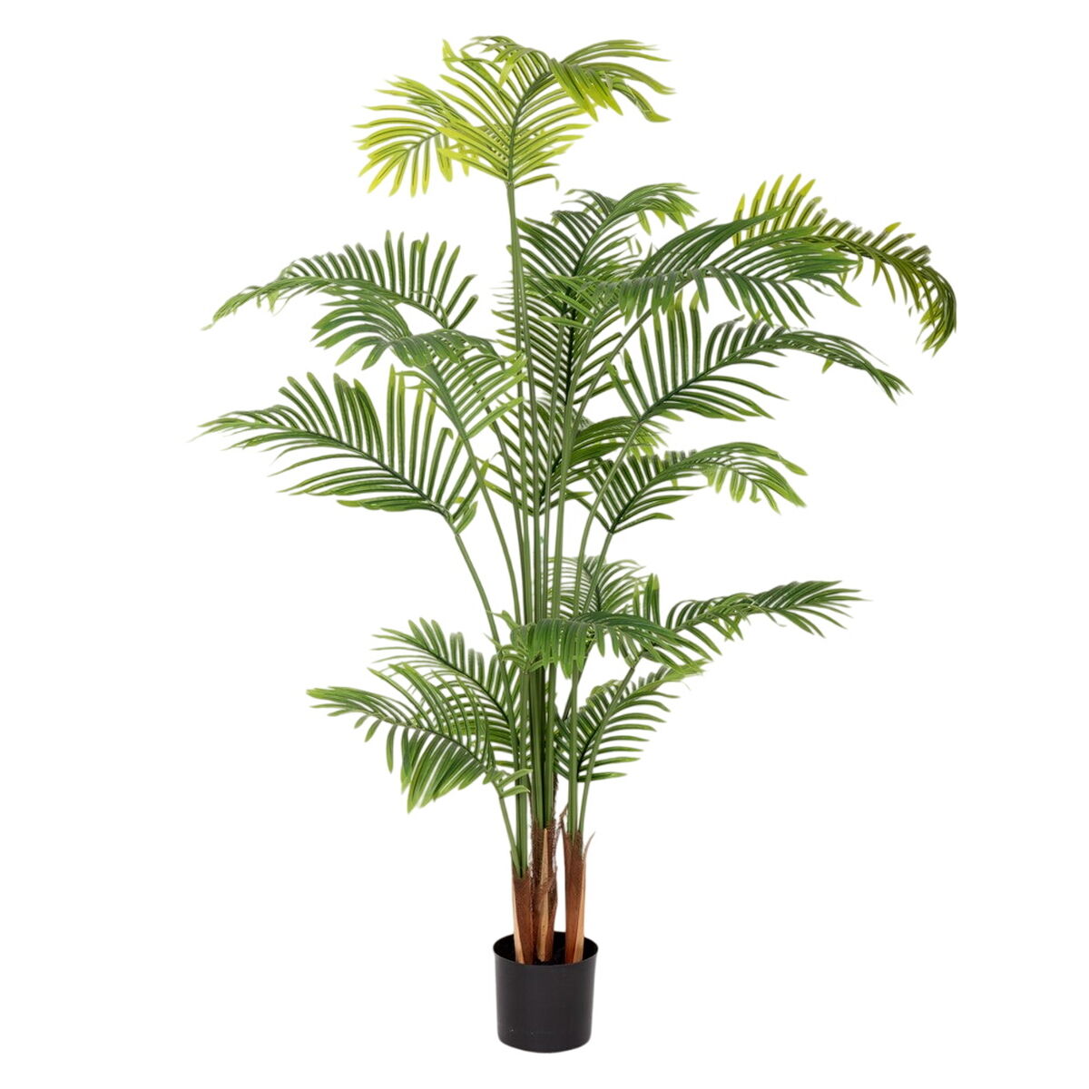 Dekorationspflanze Polyurethan Zement Areca 150 cm - AWK Flagship