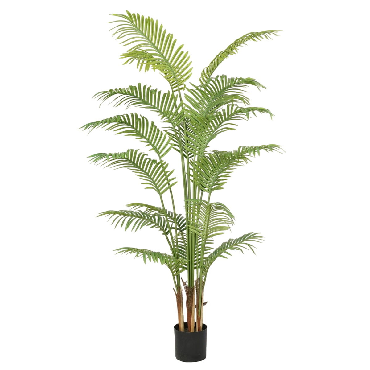 Dekorationspflanze Polyurethan Zement Areca 180 cm - AWK Flagship