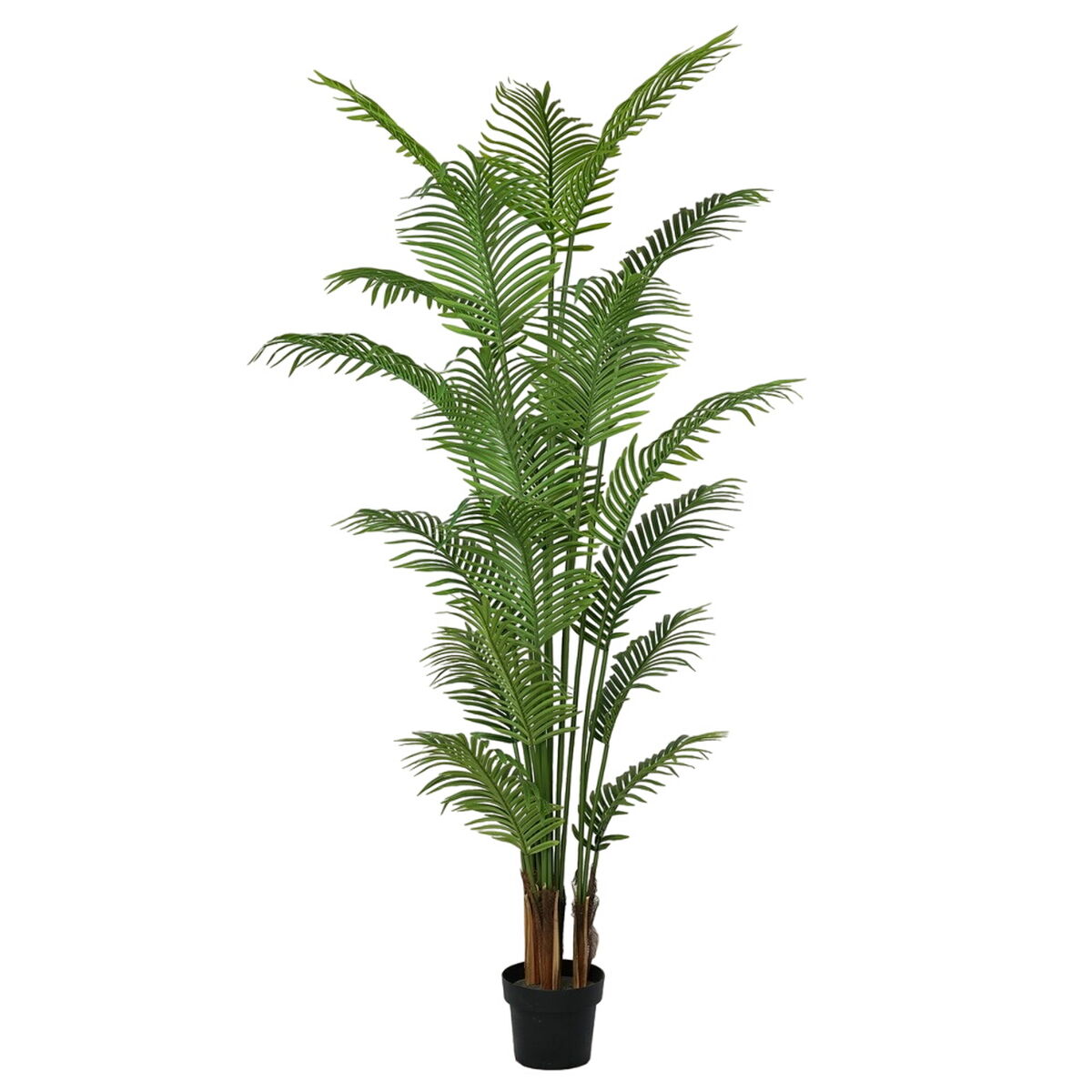 Dekorationspflanze Polyurethan Zement Areca 210 cm - AWK Flagship