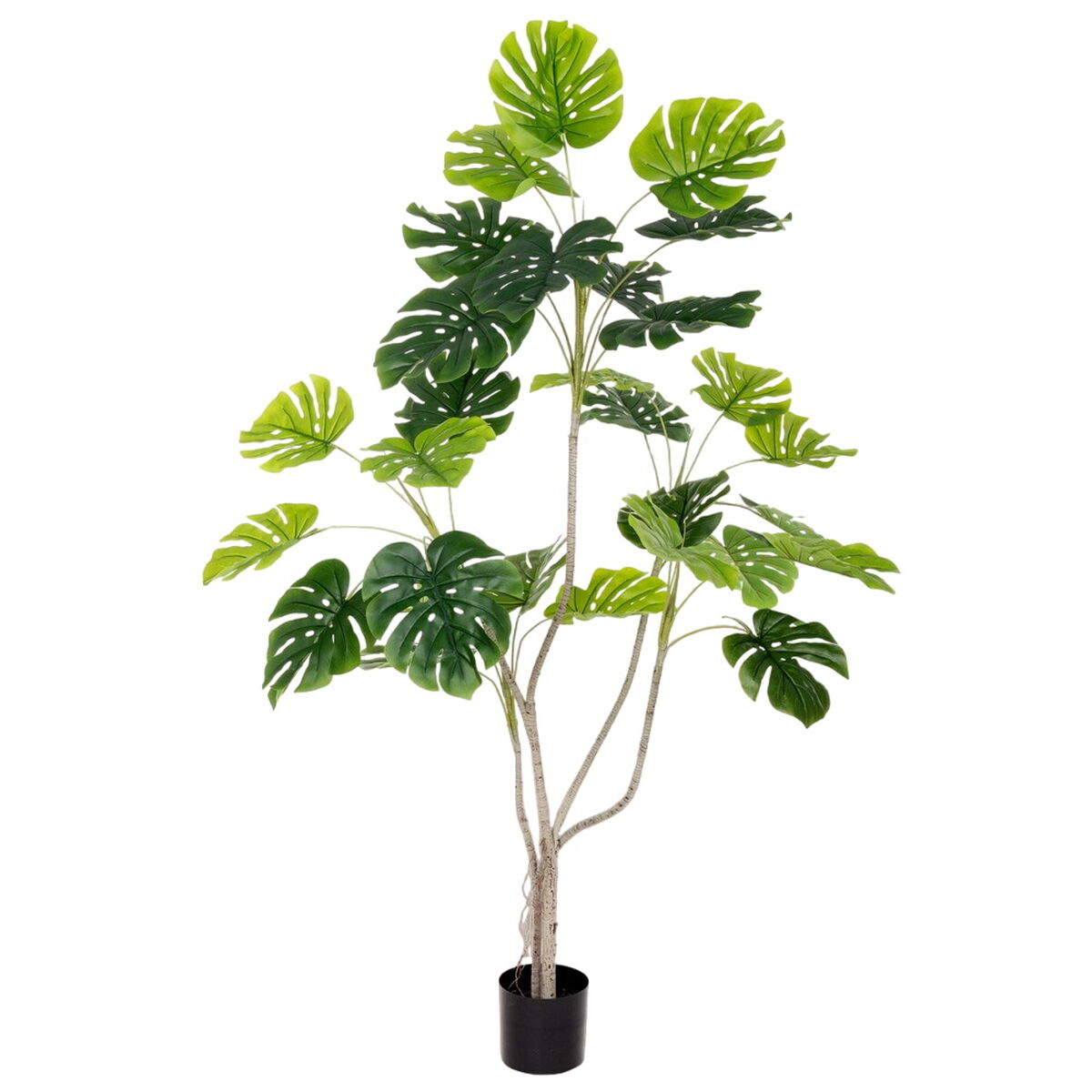 Dekorationspflanze Polyurethan Zement Monstera 180 cm - AWK Flagship