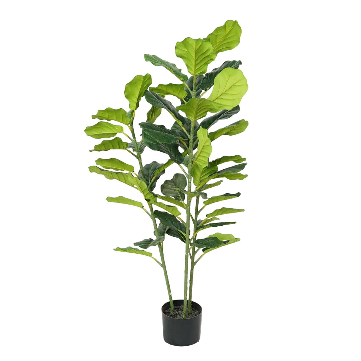 Dekorationspflanze Polyurethan Zement Ficus 120 cm - AWK Flagship