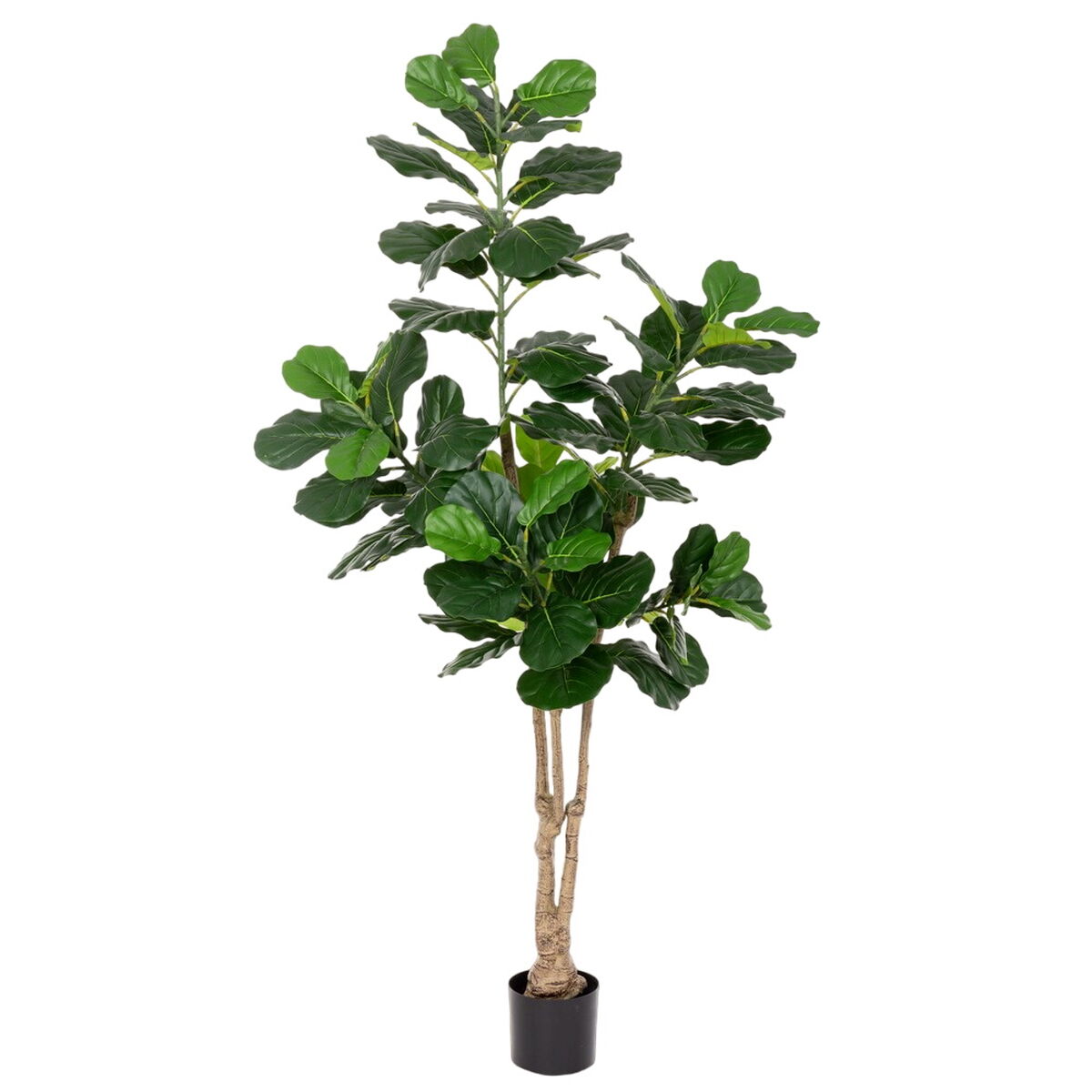 Dekorationspflanze Polyurethan Zement Ficus 175 cm - AWK Flagship