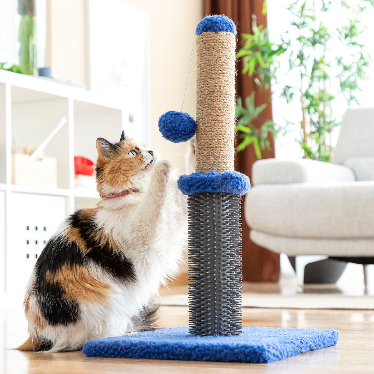 InnovaGoods® Kratzstangen-Massagepfosten mit Ball für Katzen Miausage - AWK Flagship